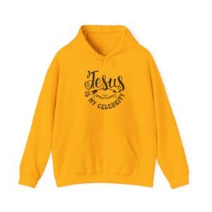 Jesus is my celebrity Hoodie for men funny christian clothing religious shirt